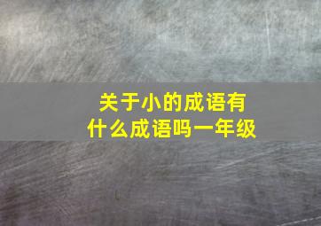 关于小的成语有什么成语吗一年级