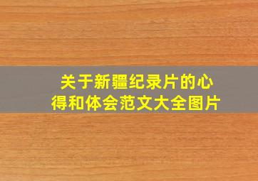 关于新疆纪录片的心得和体会范文大全图片