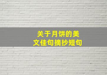 关于月饼的美文佳句摘抄短句