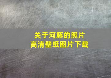 关于河豚的照片高清壁纸图片下载