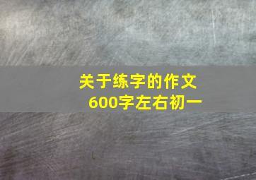 关于练字的作文600字左右初一