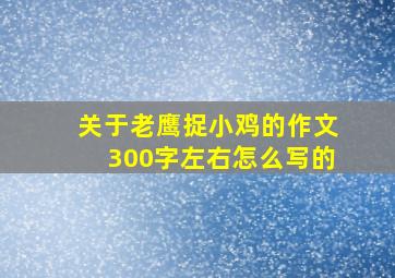 关于老鹰捉小鸡的作文300字左右怎么写的