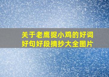 关于老鹰捉小鸡的好词好句好段摘抄大全图片