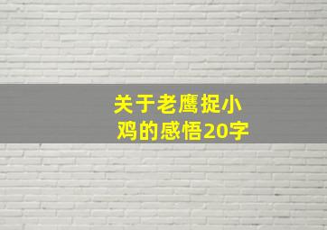 关于老鹰捉小鸡的感悟20字