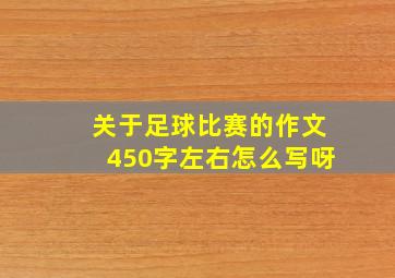 关于足球比赛的作文450字左右怎么写呀