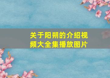 关于阳朔的介绍视频大全集播放图片