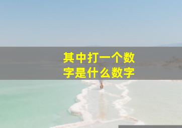 其中打一个数字是什么数字