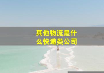 其他物流是什么快递类公司