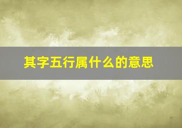 其字五行属什么的意思