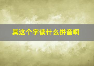 其这个字读什么拼音啊