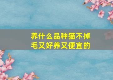 养什么品种猫不掉毛又好养又便宜的