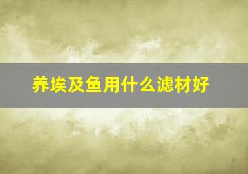 养埃及鱼用什么滤材好