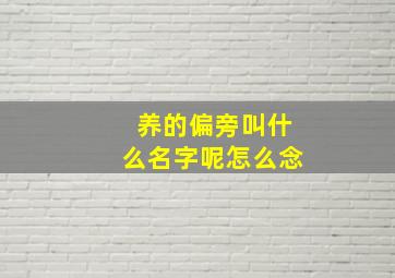 养的偏旁叫什么名字呢怎么念