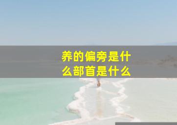 养的偏旁是什么部首是什么