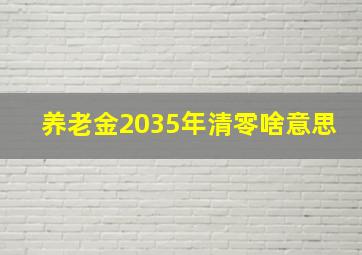 养老金2035年清零啥意思