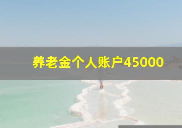 养老金个人账户45000