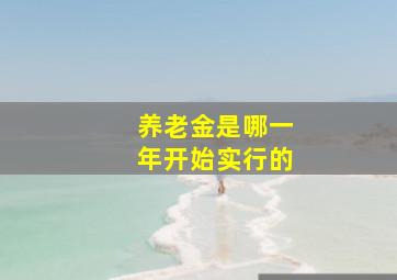 养老金是哪一年开始实行的