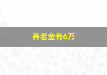 养老金有6万