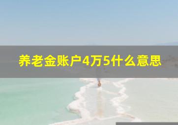 养老金账户4万5什么意思