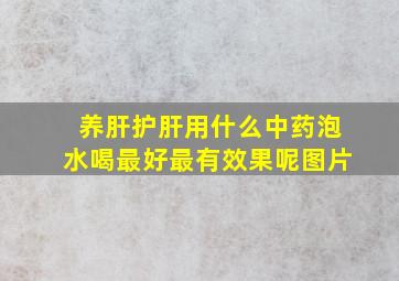 养肝护肝用什么中药泡水喝最好最有效果呢图片