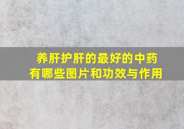 养肝护肝的最好的中药有哪些图片和功效与作用