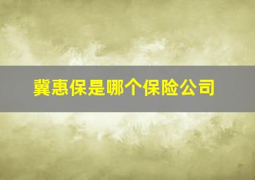 冀惠保是哪个保险公司