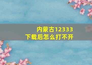 内蒙古12333下载后怎么打不开