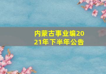 内蒙古事业编2021年下半年公告