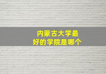 内蒙古大学最好的学院是哪个