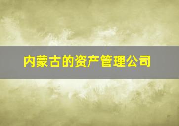 内蒙古的资产管理公司