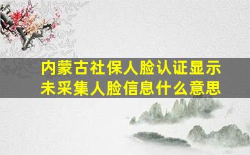 内蒙古社保人脸认证显示未采集人脸信息什么意思