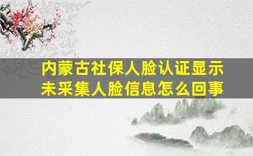 内蒙古社保人脸认证显示未采集人脸信息怎么回事