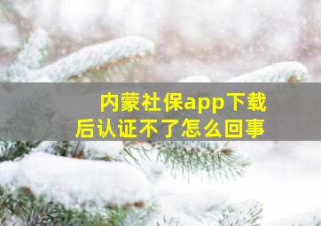 内蒙社保app下载后认证不了怎么回事