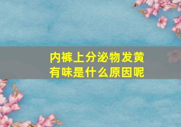 内裤上分泌物发黄有味是什么原因呢