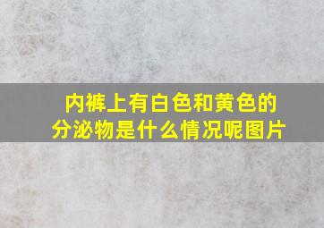 内裤上有白色和黄色的分泌物是什么情况呢图片