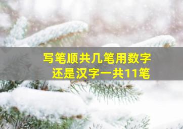 写笔顺共几笔用数字还是汉字一共11笔