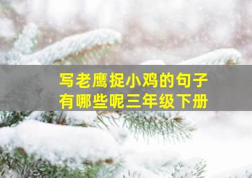 写老鹰捉小鸡的句子有哪些呢三年级下册