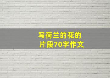 写荷兰的花的片段70字作文