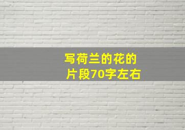 写荷兰的花的片段70字左右