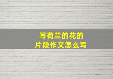 写荷兰的花的片段作文怎么写