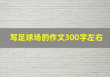 写足球场的作文300字左右