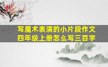 写魔术表演的小片段作文四年级上册怎么写三百字