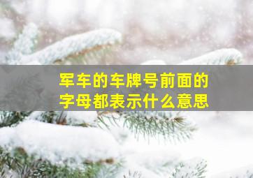 军车的车牌号前面的字母都表示什么意思