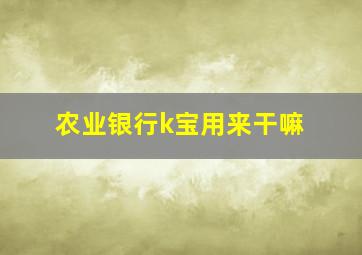 农业银行k宝用来干嘛