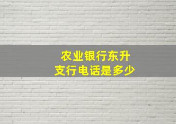 农业银行东升支行电话是多少