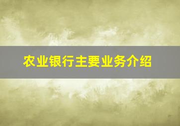 农业银行主要业务介绍