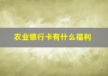 农业银行卡有什么福利