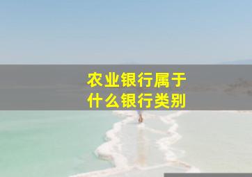 农业银行属于什么银行类别