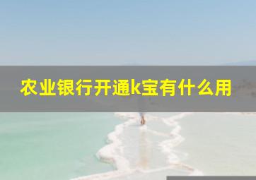 农业银行开通k宝有什么用