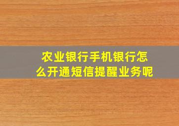 农业银行手机银行怎么开通短信提醒业务呢